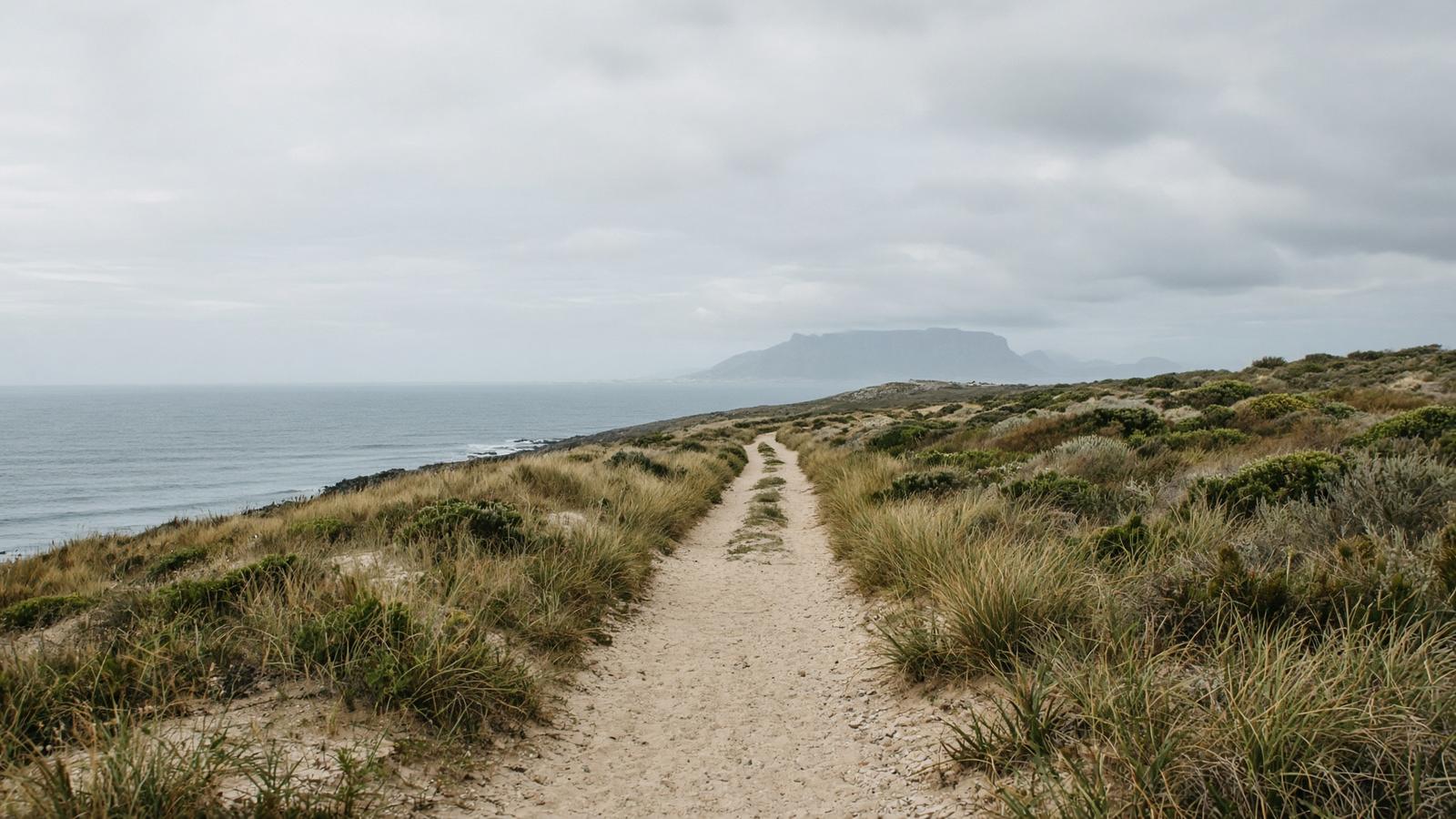 An empty sandy path through dune grass toward a faint Table Mountain under cloud